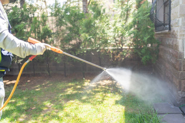 Best Wasp Removal Services  in Arrowhead Beach, NC